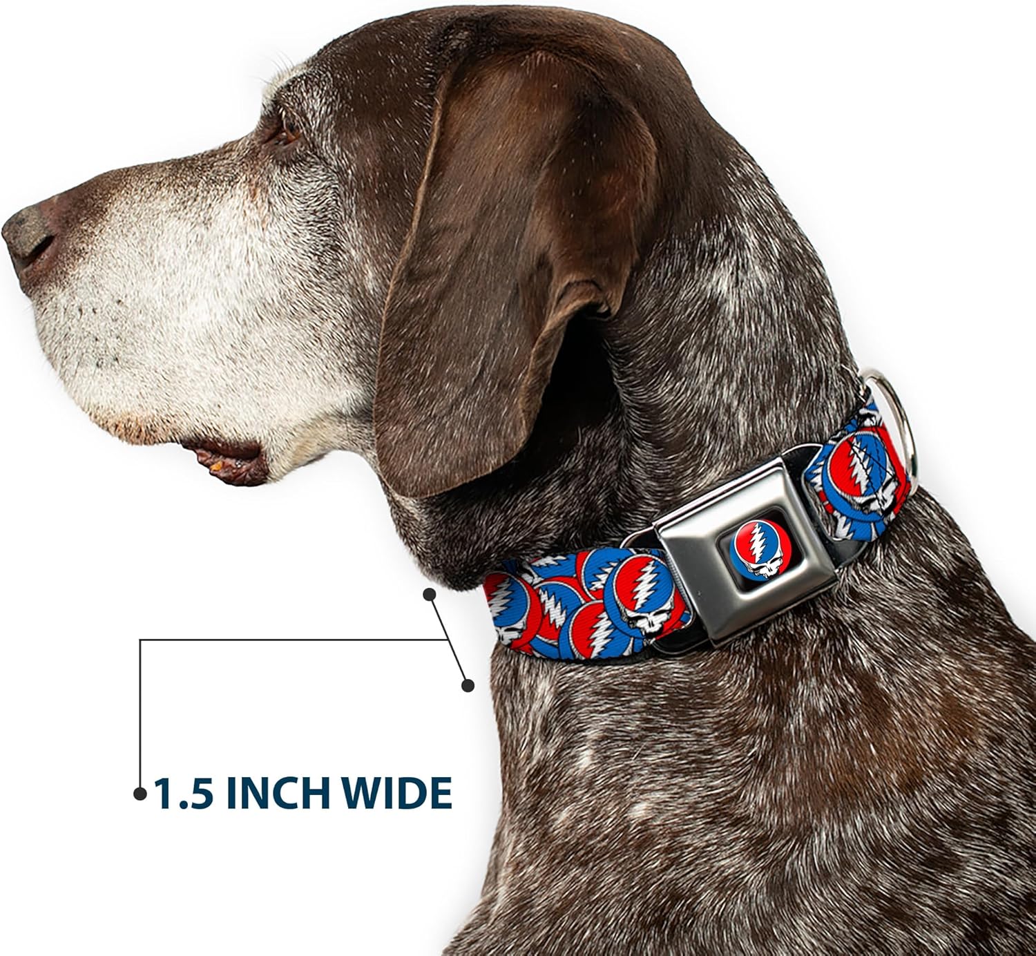 Grateful Dead Easy Adjustable Metal Seatbelt Buckle Quick Release Dog Collar, Steal Your Face Logo Stacked Red White Blue, 15 to 24 Inches 1.0 Inch Wide
