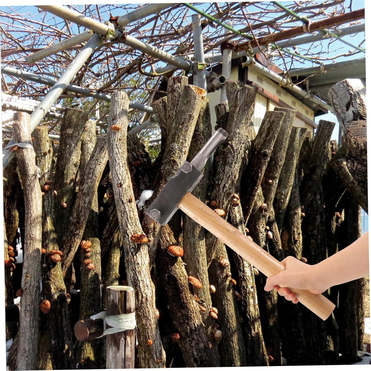 VANZACK Mushroom Spawn Hammer Tool Double-headed Log Punching Tool for Easy Inoculation and Construction for Efficient Mushroom Planting
