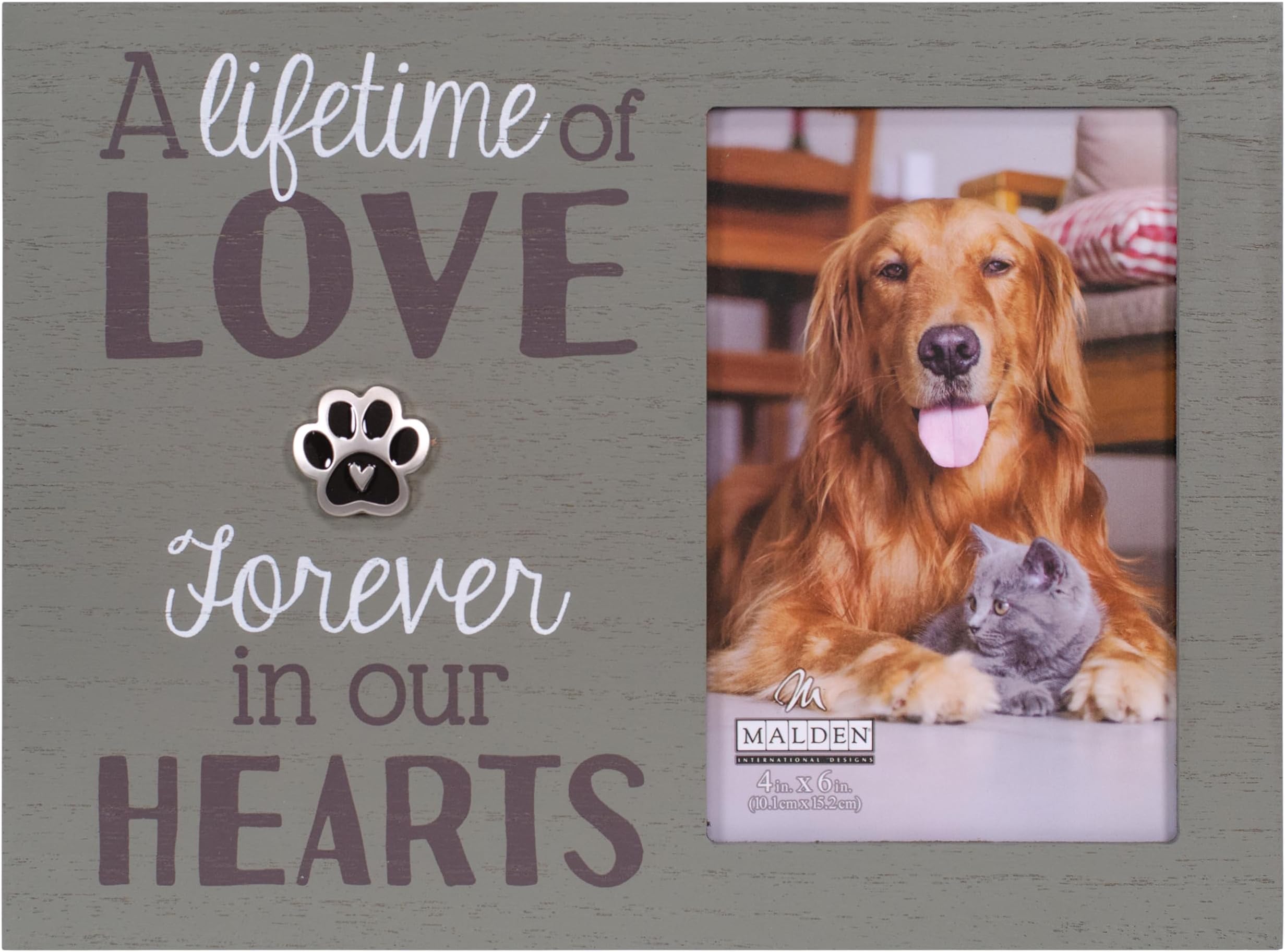 Malden International Designs 4x6 Pet Sentiment Picture Frame A lifetime of love forever in our hearts MDF Wood Sage
