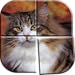 Katzen Puzzle Spiele Kostenlos