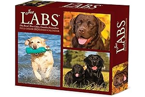 Willow Creek Press Daily 2024 Dog Calendar: Page-A-Day Format