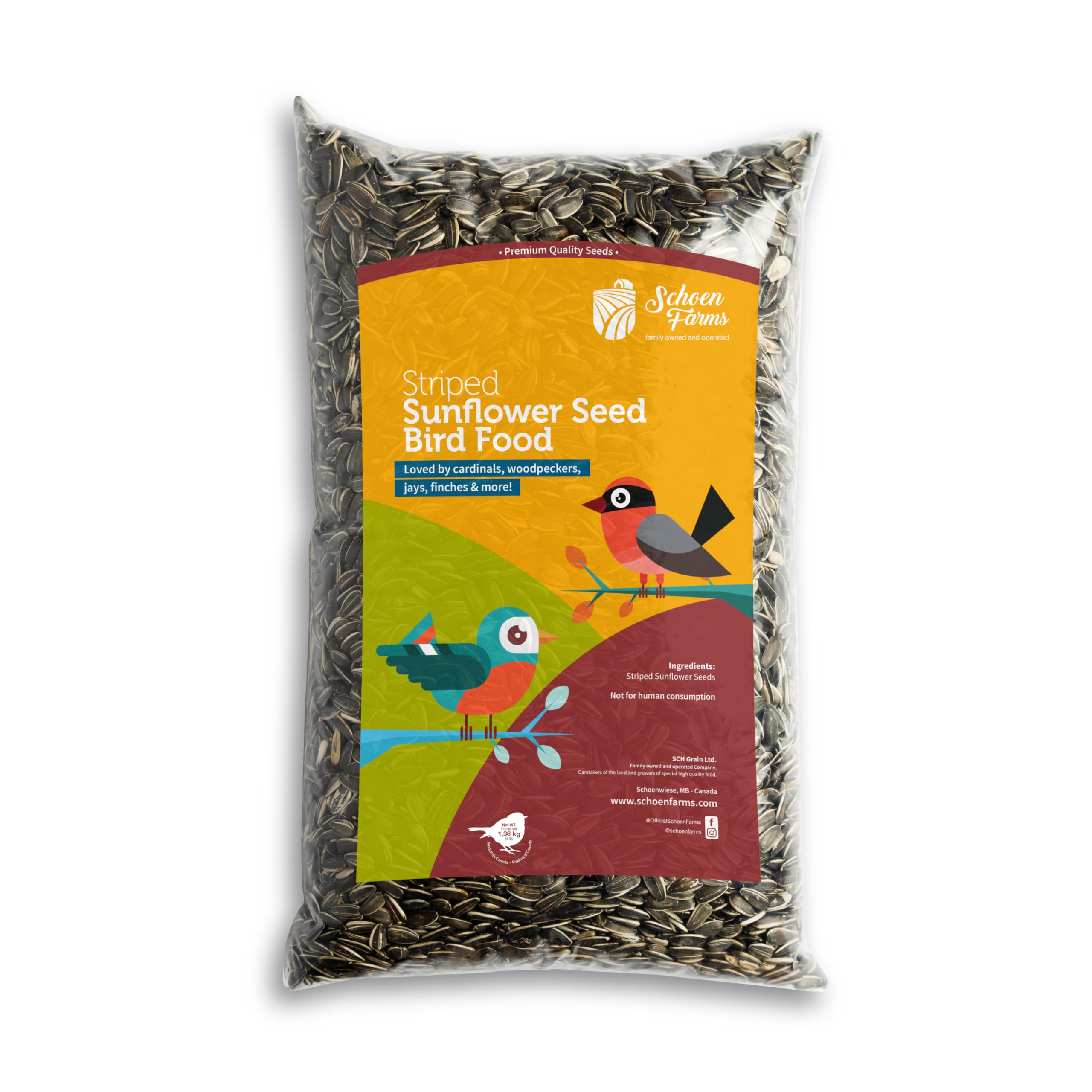 Striped Sunflower Seeds – Hulled Wild Bird Food – 3 lb Bag – Clean, No-Mess Bird Seed for Finches, Jays & Cardinals