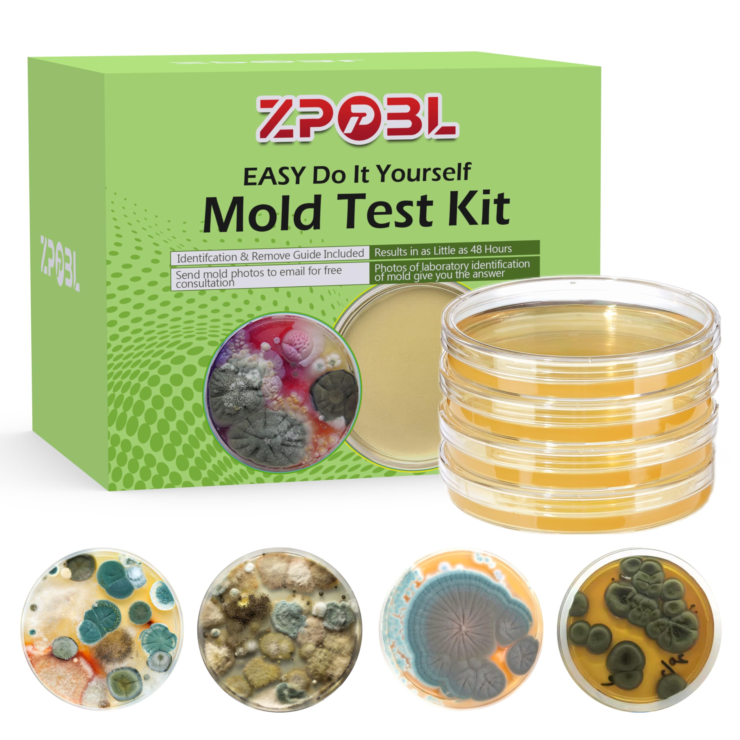 Mold Test Kit for Home (4)-picture-11