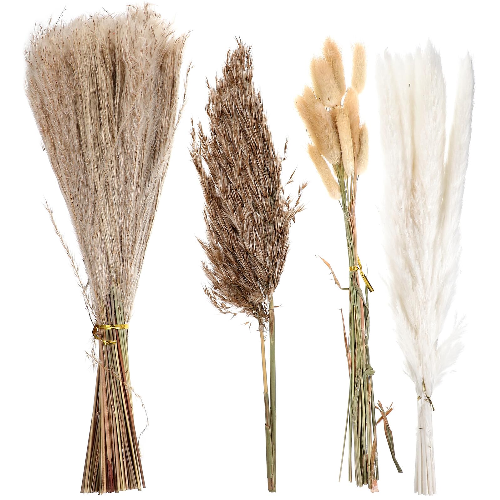 Ipetboom Bouquet di Fiori Secchi Canne di della Pampa Essiccata Naturale, Decorazione Fai da Te per Casa, Ufficio e Negozio, Confezione Regalo per Festività come Natale e Pasqua