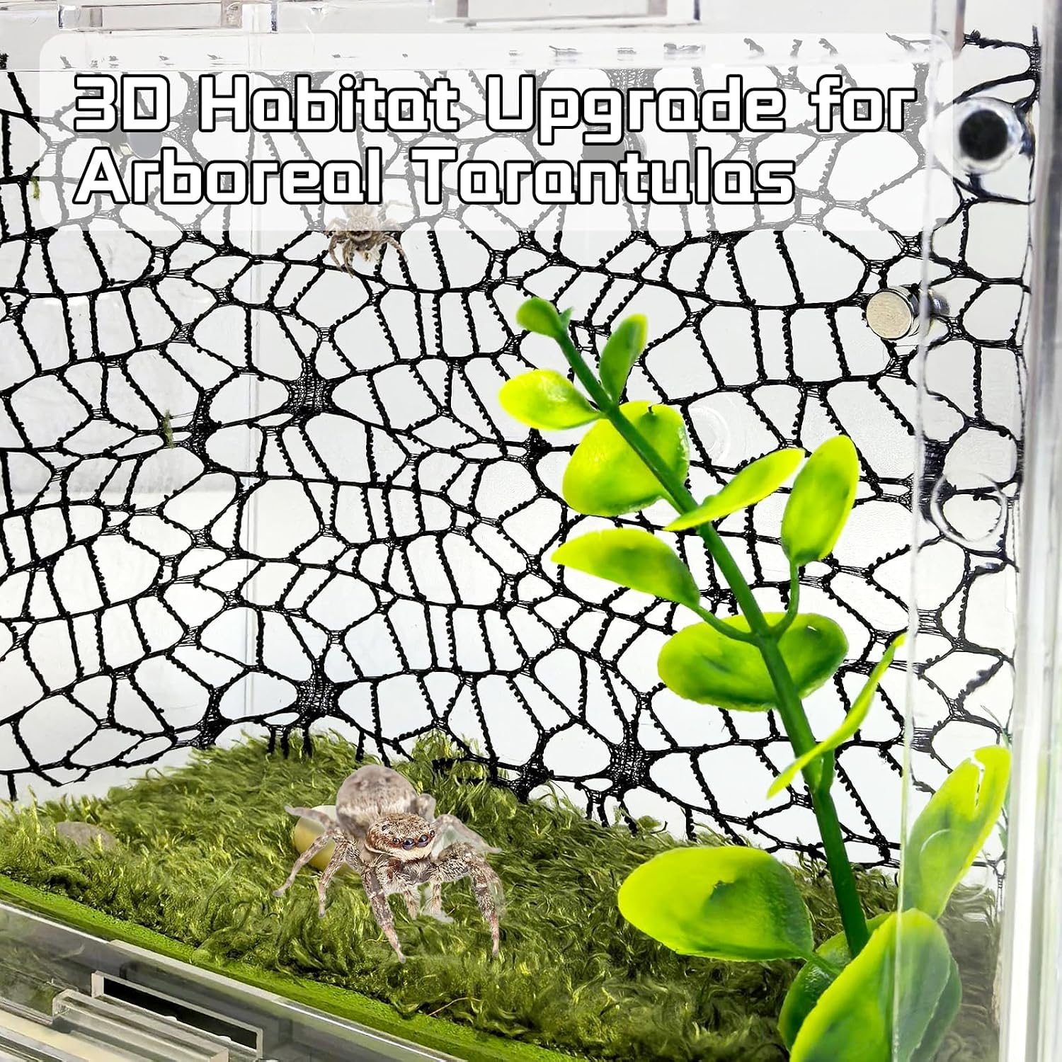Hamiledyi Jumping Spider Enclosure Accessories 20 x 12'' Climbing Net Magnetic Spider Web Mesh Mantis Enclosure Net Tarantula Terrarium Habitat Decor (White+Black) image 2