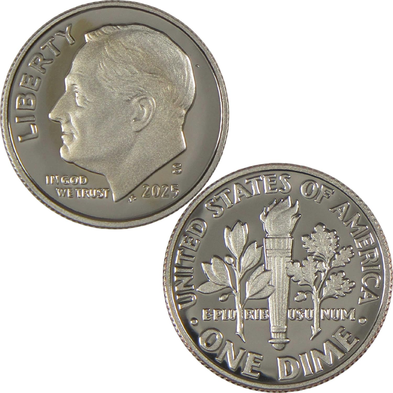 2025 S Roosevelt Dime Choice Proof Clad 10c Coin