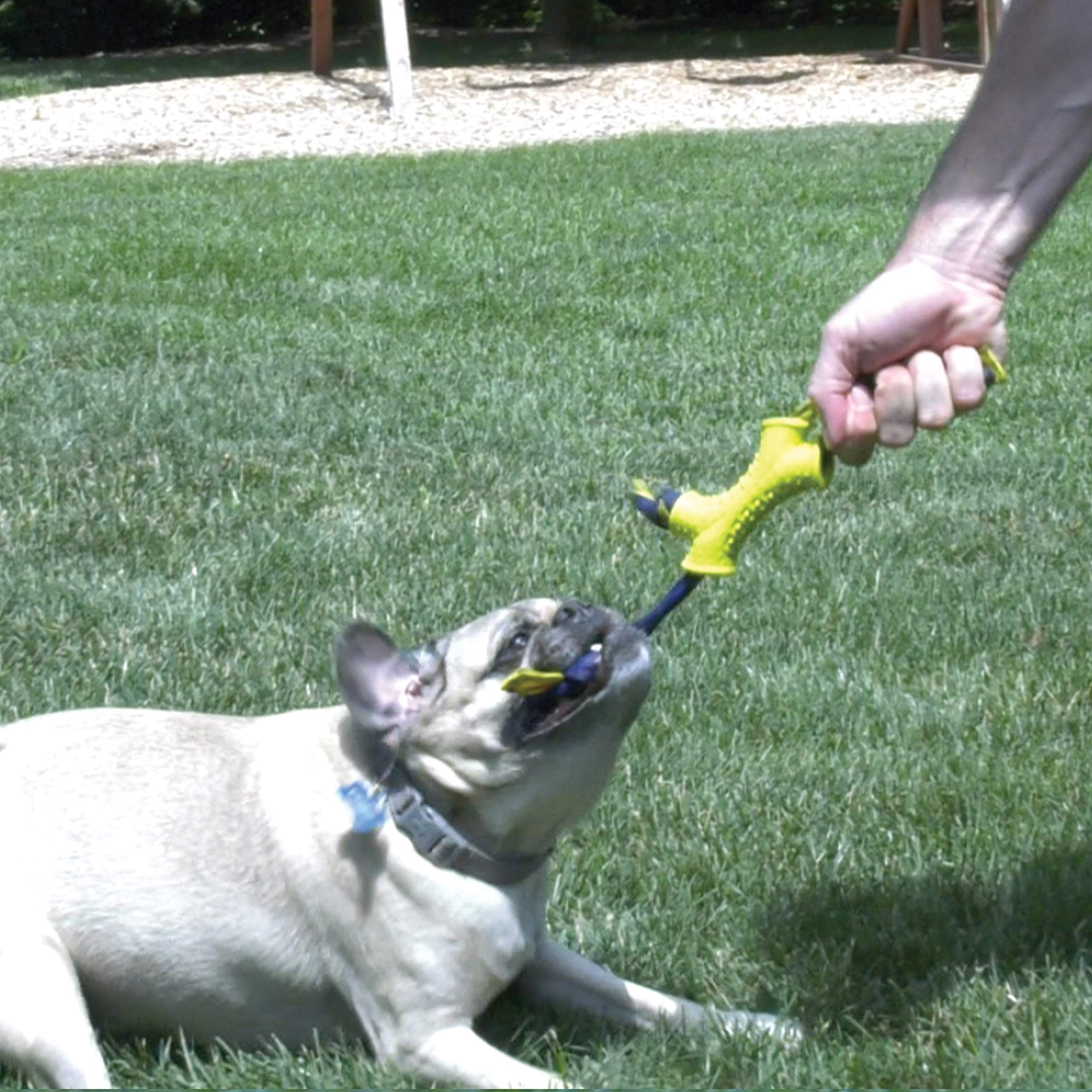 Nylabone Power Play Interaktives Apportierspielzeug für Hunde l Bereicherung Hundespielzeug für das ultimative Spielerlebnis