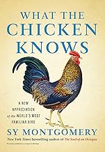 Cover of What the Chicken Knows: A New Appreciation of the World's Most Familiar Bird