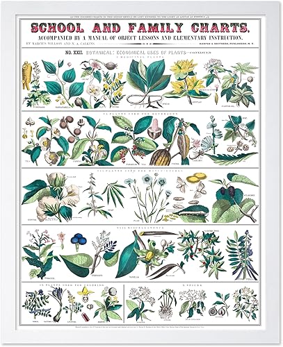 Miniatura 160 de Poster Master Póster vintage de orquídea, estampado de flores retro, arte de pared de plantas exóticas, arte botánico, regalo para hombres y