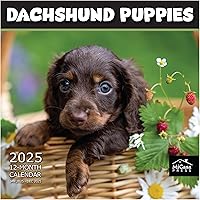 Vista 82 de MICASA PRESS Corgi Butts - Calendario de pared 2026 de 12 meses 12 x 24 pulgadas abierto Papel grueso y resistente Regalo de vacaciones