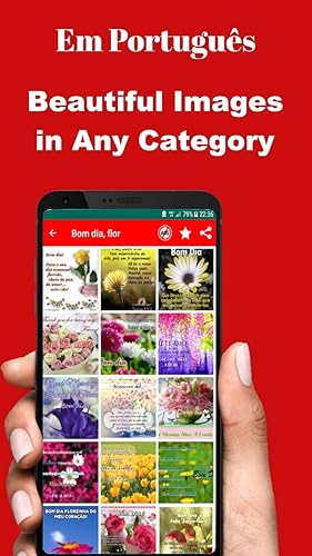 Bom Dia Boa Tarde & Noite Desejos Mensagens Amor