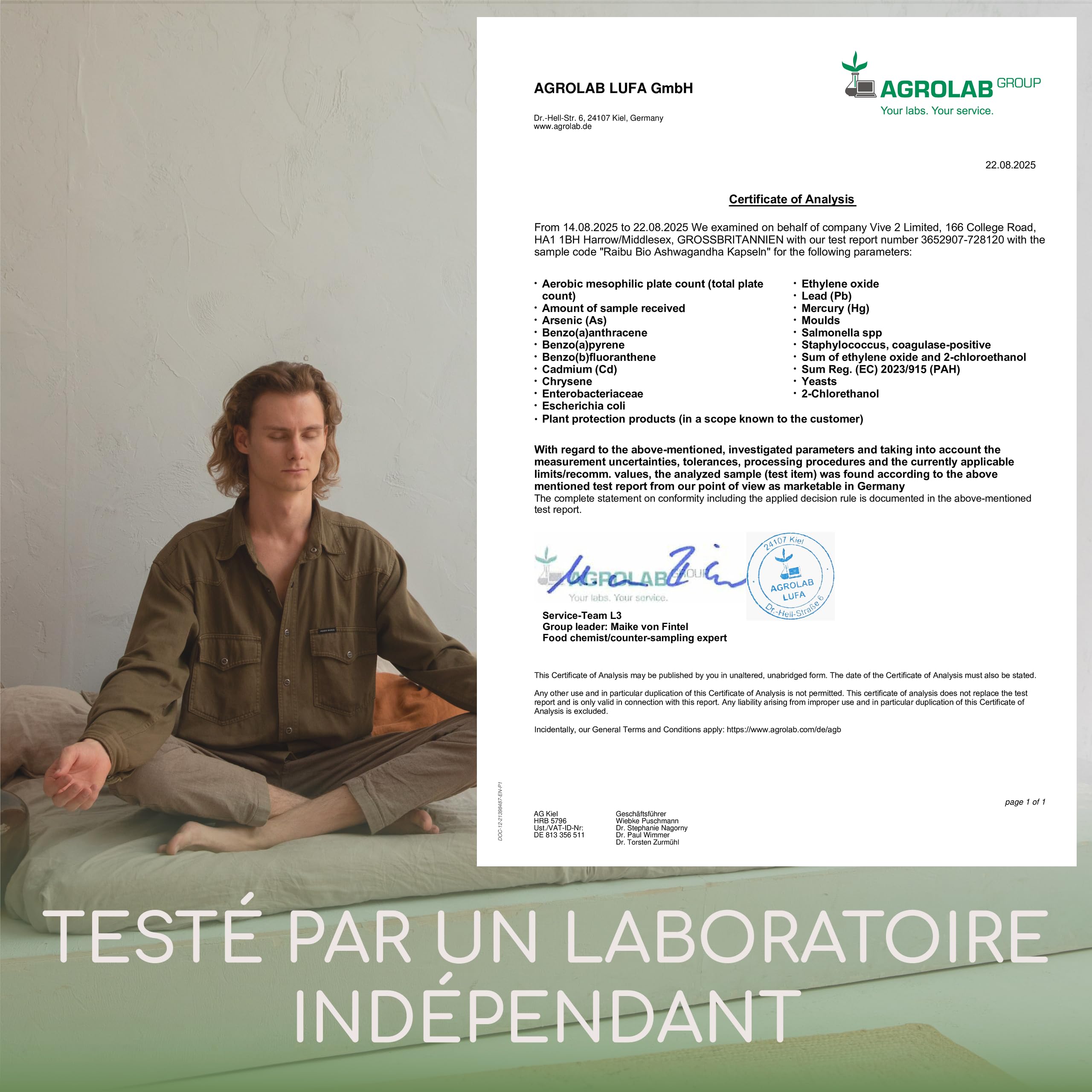 Ashwagandha BIO - 270 Gélules - Extra Fort : 2400 mg/jour - Ashwagandha Biologique Certifiée (Ginseng Indien/Withania Somnifera) - Sans Additifs, Végétalien - Pour votre Bien-être - Raibu