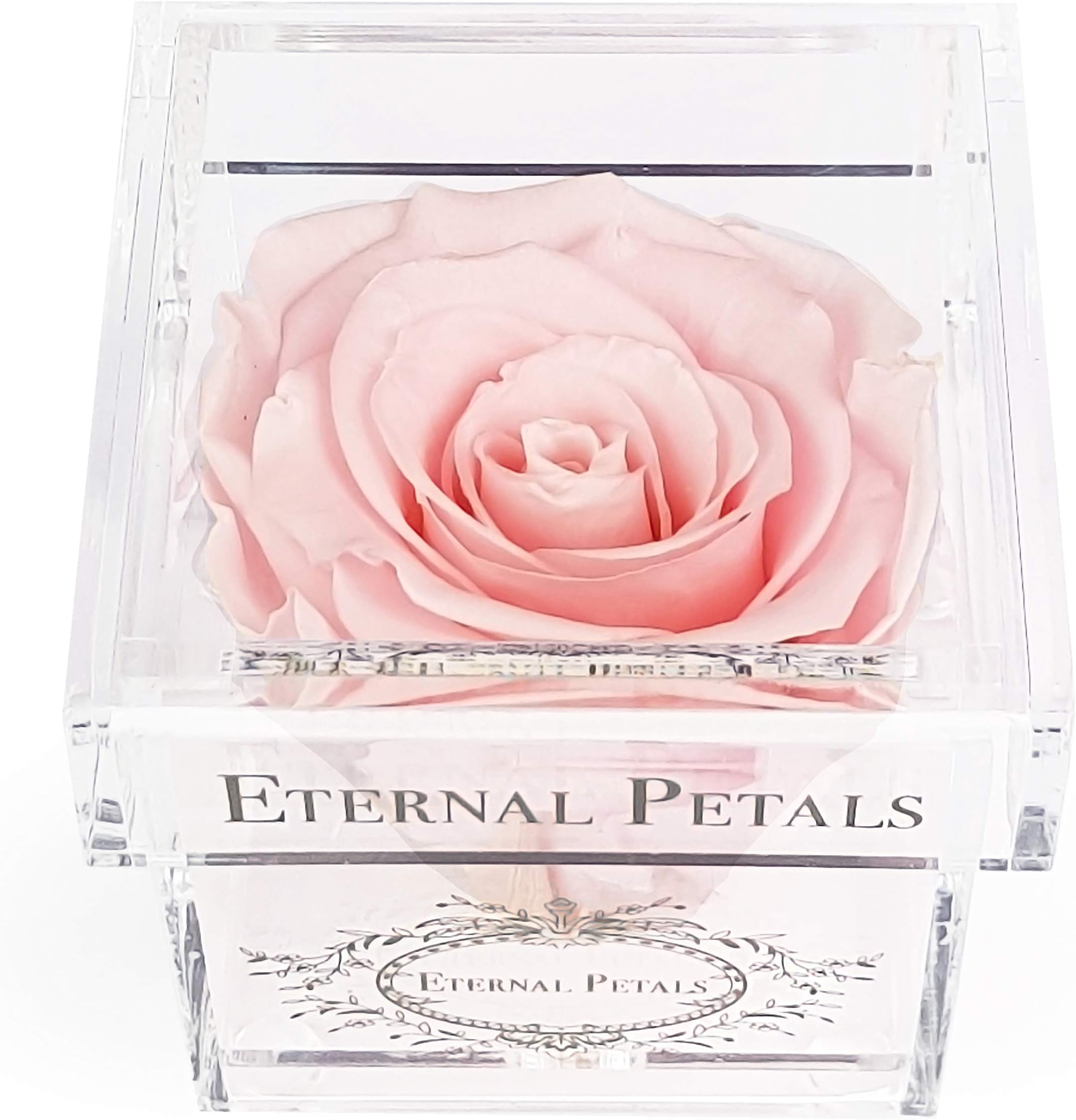 Eternal Petals A 100% Real Rose That Lasts Years, Handmade in UK – White Gold Solo (Light Pink)