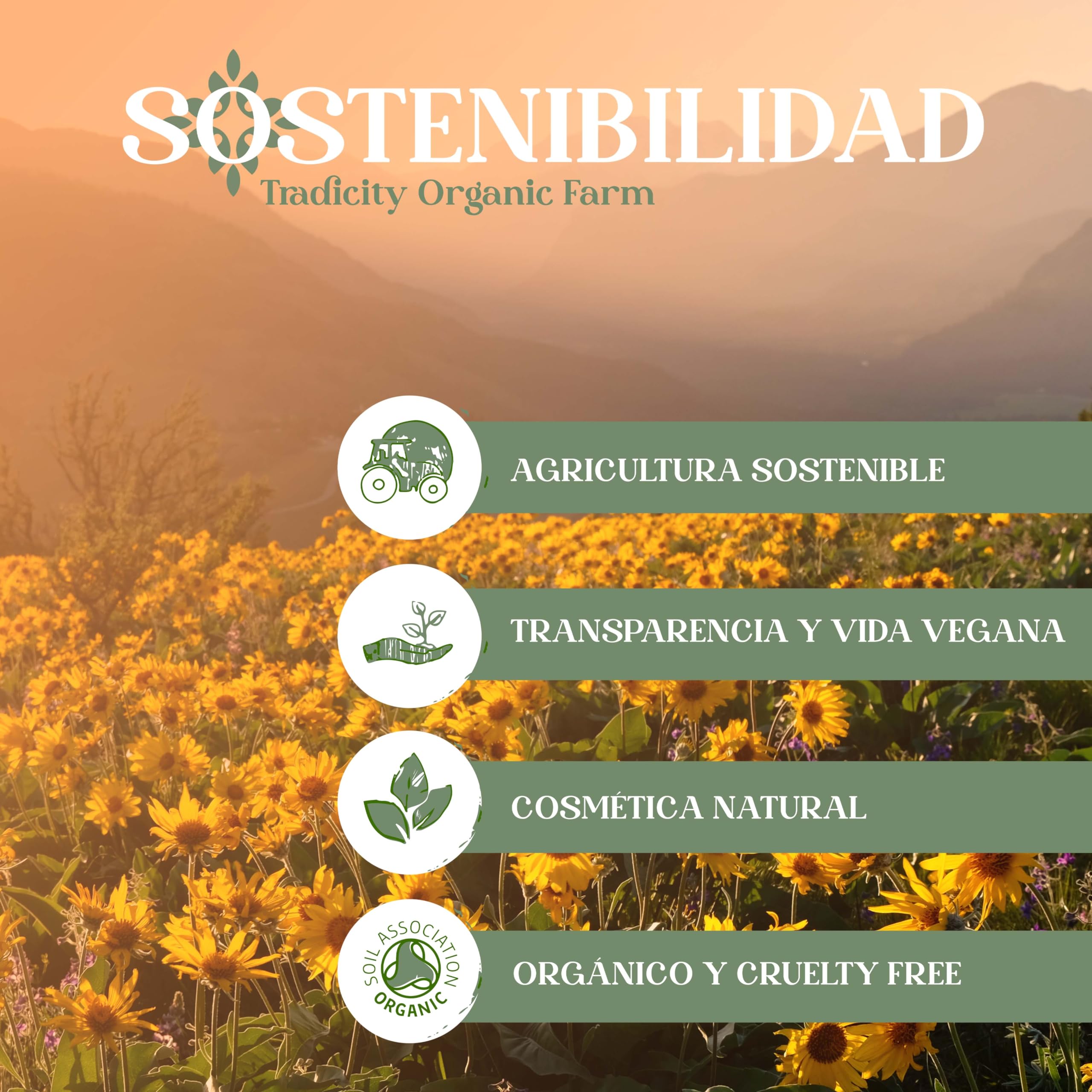 Gel di Arnica Montana al 90% 5000 ml Balsamo ad Alta Concentrazione Alleviare Tensioni Muscolari Gambe Stanche Rilassamento Recupero Muscolare Dopo l'Allenamento Sportivi