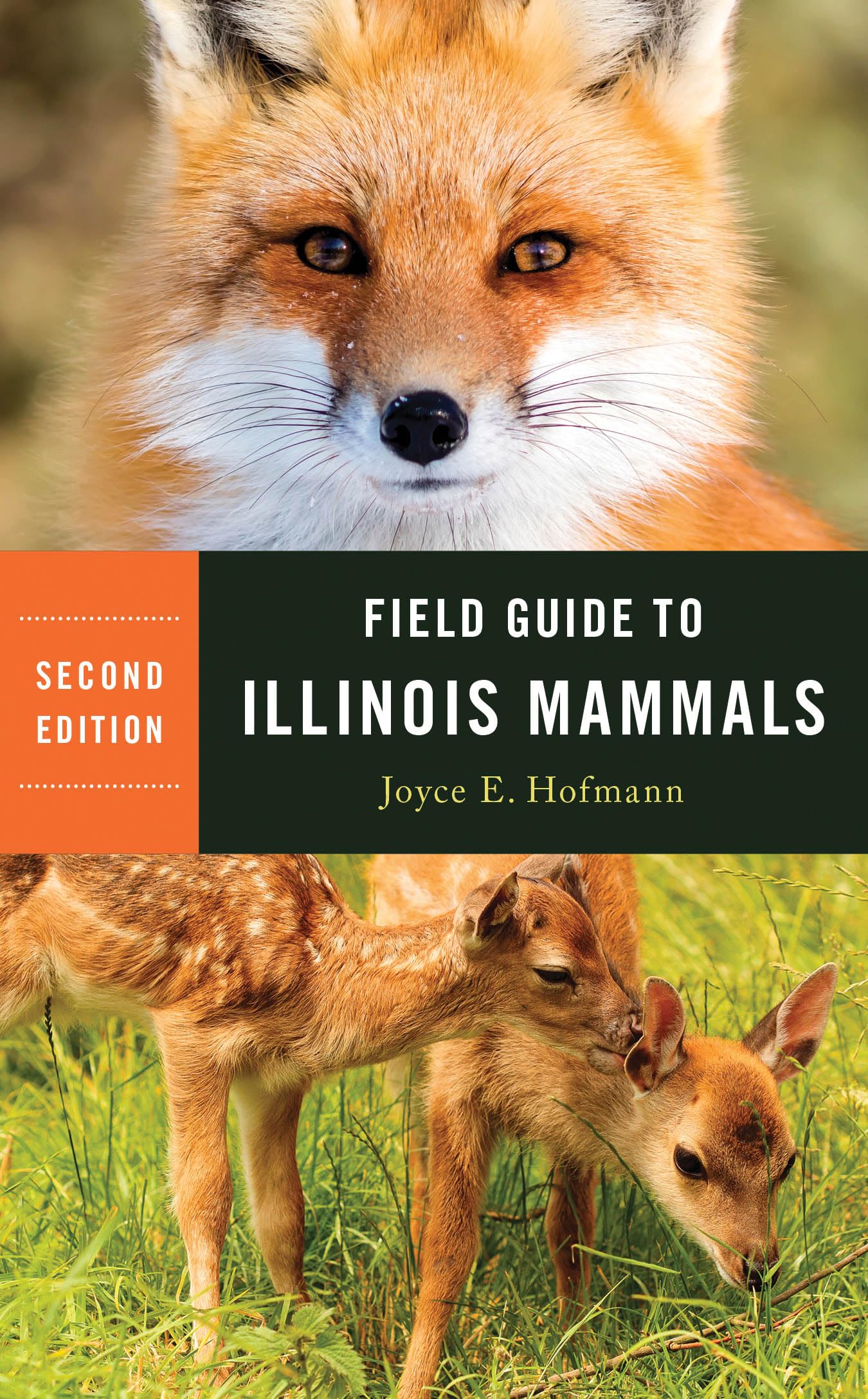 Field Guide to Illinois Mammals