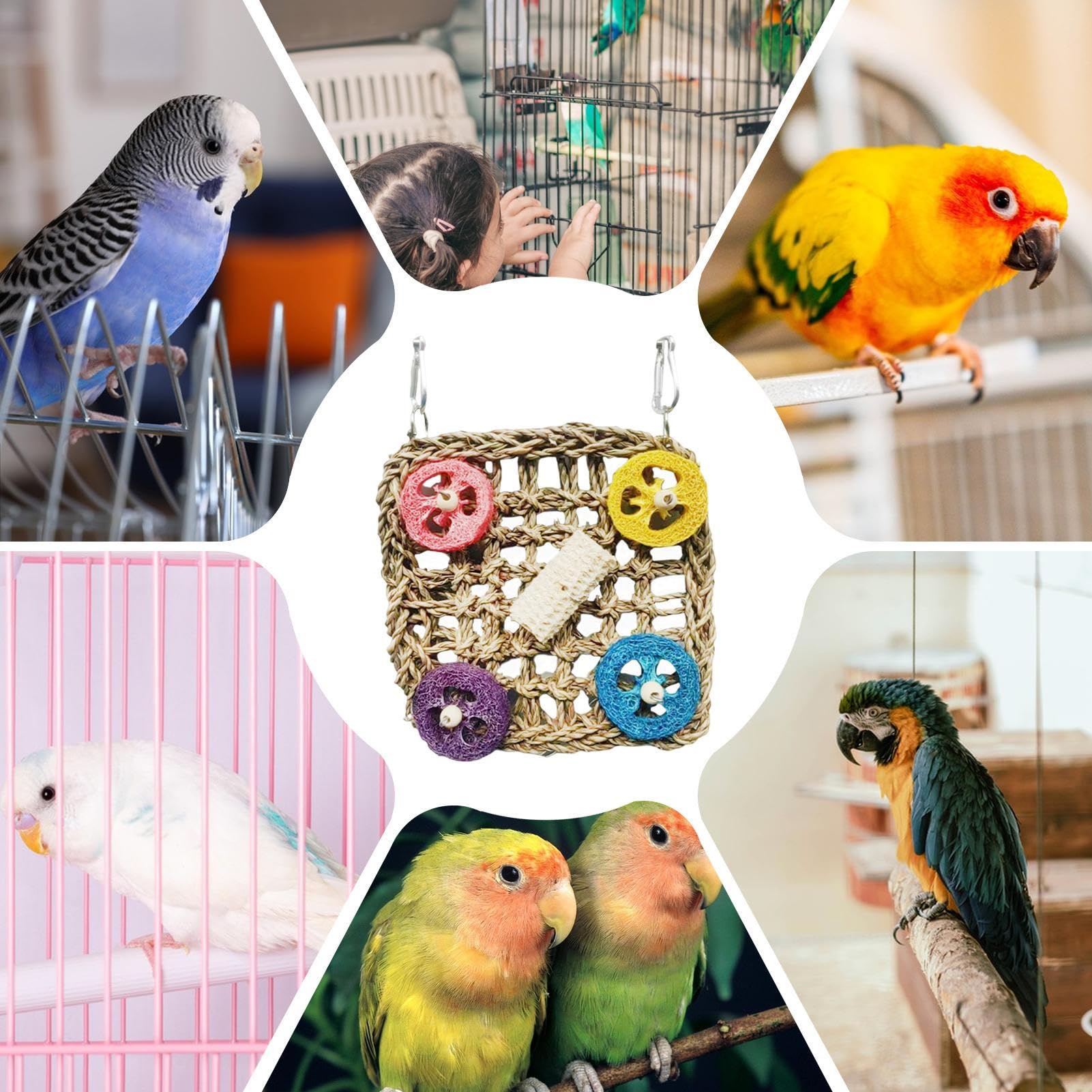 Amazon | インコ用おもちゃ,自然素材のコザクラインコ用おもちゃ
