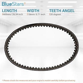 SKKIN USA　スティングレー　ベルト Amazon | Genuine Stingray Skin Belt APPAREL メンズ | ベルト