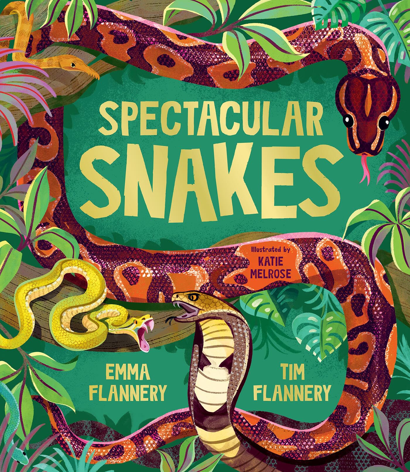 Spectacular Snakes: Volume 4 (Explore Your World: Spotlight... - Flannery, Tim