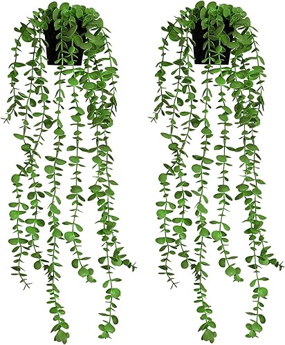 LORYDECO Juego de 2 vides artificiales de eucalipto colgantes en maceta, plantas falsas con maceta, maceteros sintéticos medianos para pared, hogar,
