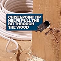 Vista 4 de BOSCH SB0010 - Juego surtido de puntas de punta de cincel de 10 piezas