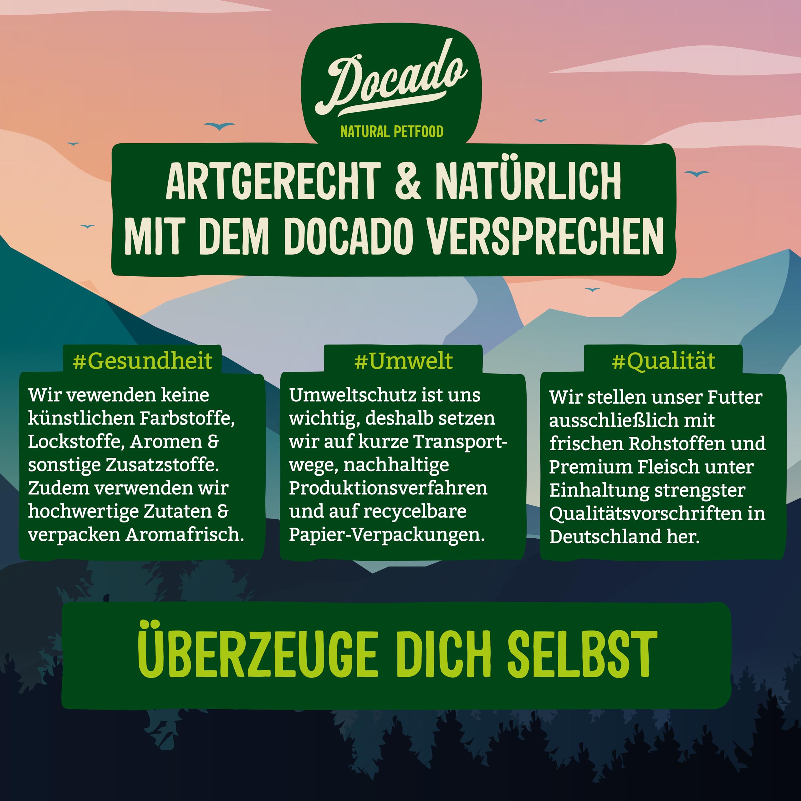 Premium Entdecker Snack-Set für Hunde 5-teilig | Getreidefrei, Proteinreich | Mix aus Wildfleisch, Rind, Lamm & Pute | Trockensnacks & Hundekekse