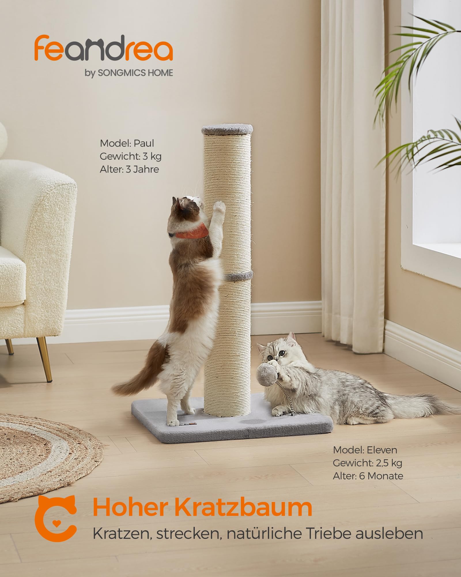 Feandrea Kratzbaum, 85 cm hoch, Kratzsäule XL, 13 cm Dicker Stamm, Katzenbaum, Kratzstamm für mittelgroße und große Katzen, Sisalstamm, mit Plüschball und Glocke, Taubengrau PCA041G01