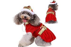 King Cat Costume with Crown