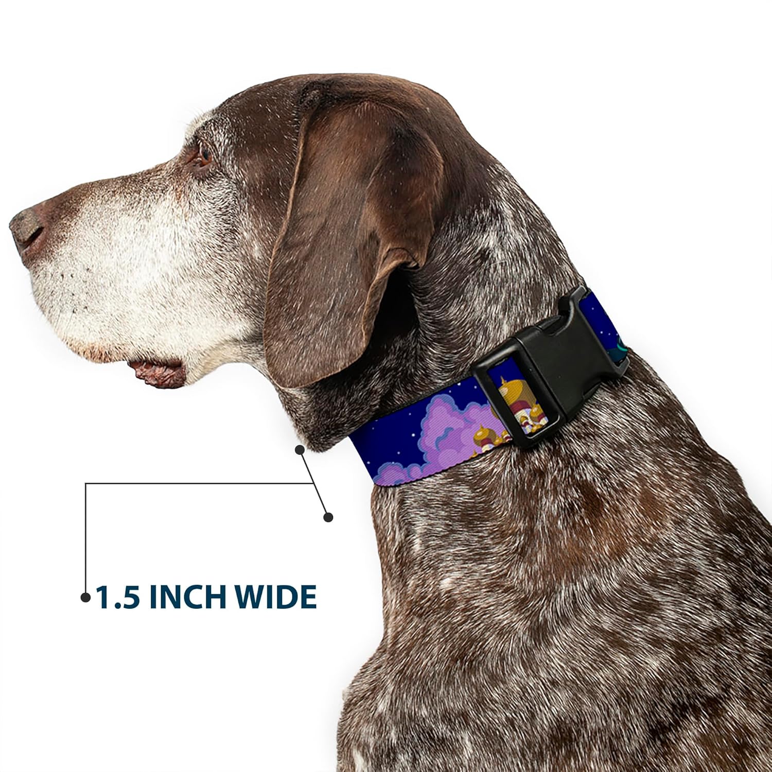 Buckle-Down Aladdin & Jasmine Magic Carpet Ride Scenes Plastic Clip Collar, Wide Small/13-18"