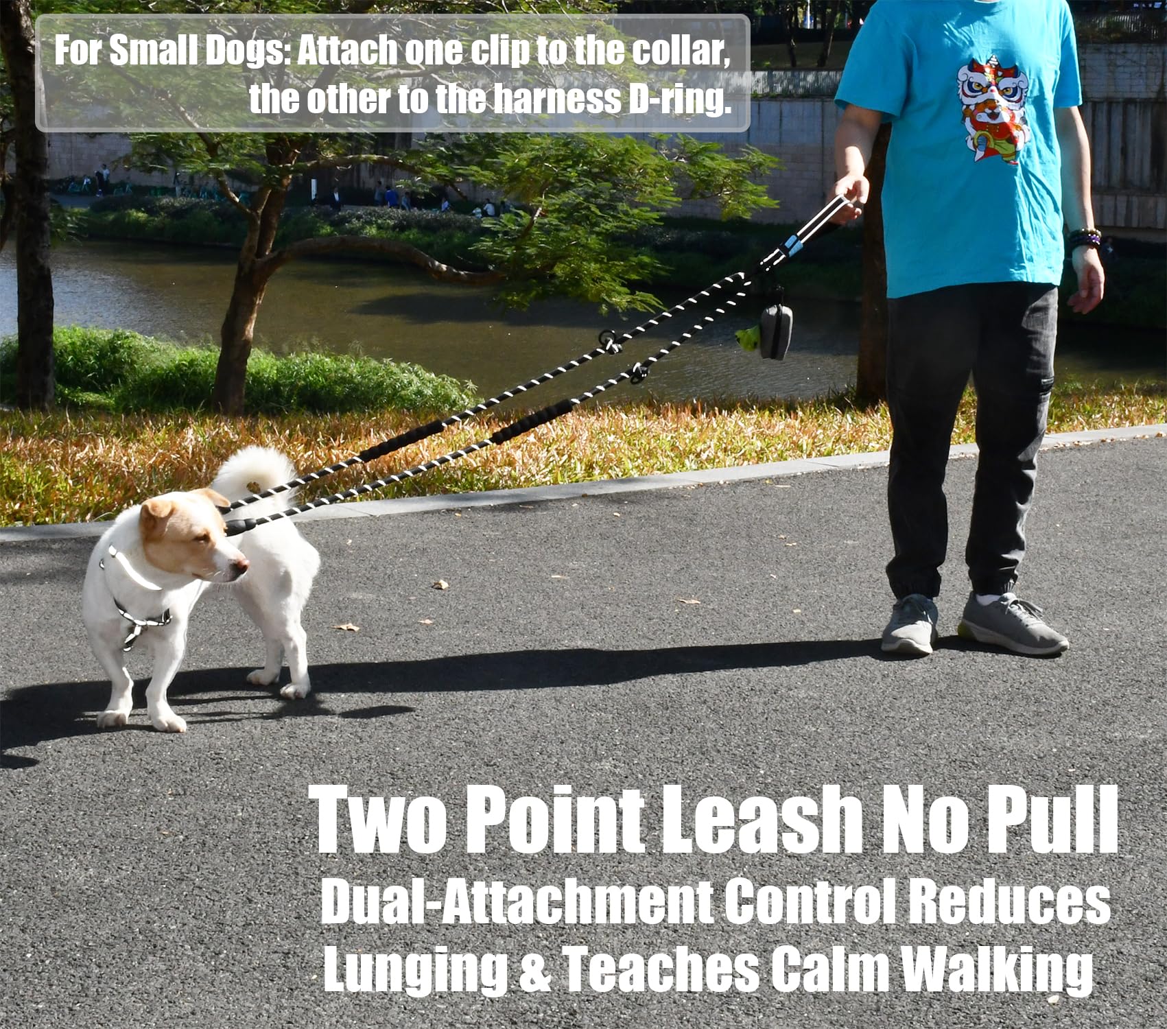 Two Point Control & Hands Free Dog Leash, Waist & Crossbody Leash with Car Seat Belt Clip, Heavy Duty Reflective & Tangle-Free, No Pull Harnesses Compatible for Large Medium Dogs, Black - 3