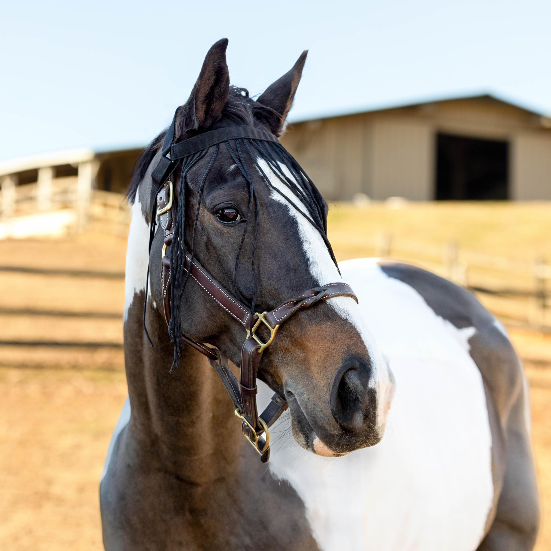 Horze Pferde Fliegenfransen, Insektenschutz für Pferd und Pony