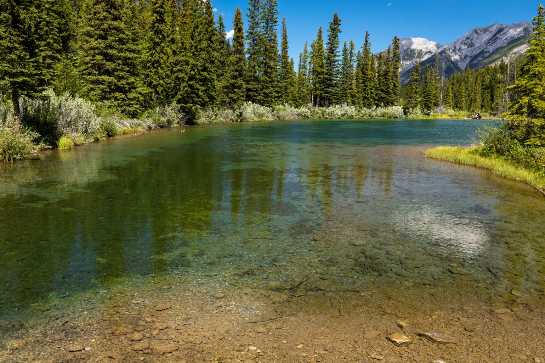 Heel leuk! Werkt perfect.