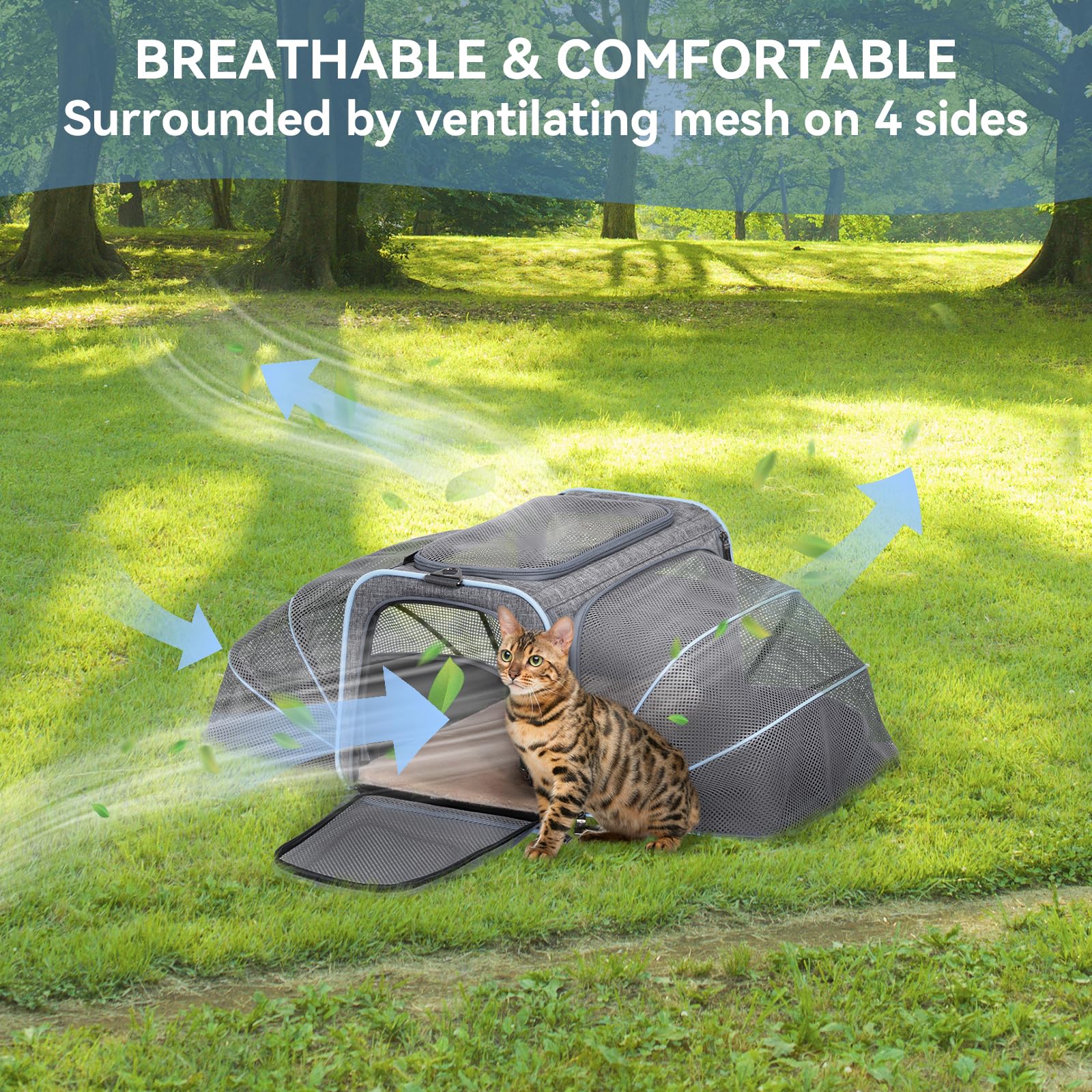 Petsfit Bolsa de transporte plegable para gatos y perros, caja de transporte ampliable para gatos y perros, con correa para el hombro, bolsa de transporte para perros, tejido Oxford para gatos y