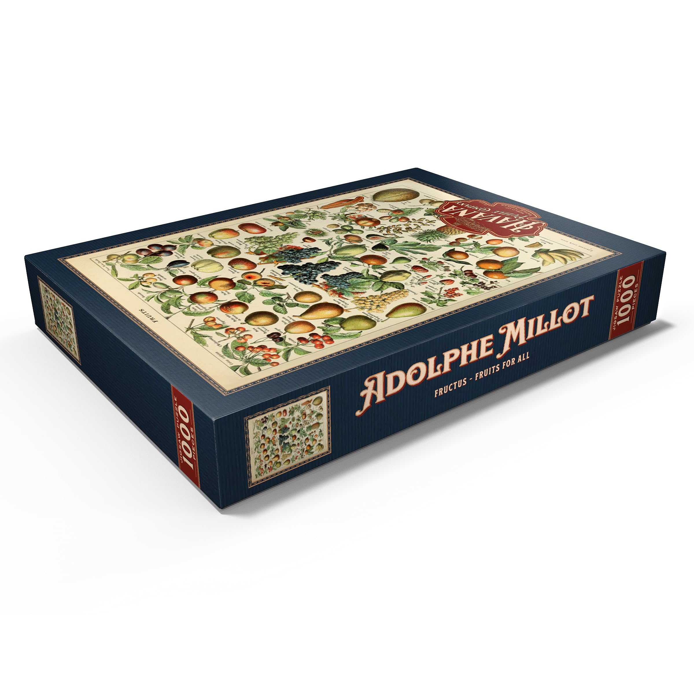 Fructus, Fruits for All Vintage Art Poster, Adolphe Millot, Premium 1000 pieces Puzzle - Image 3