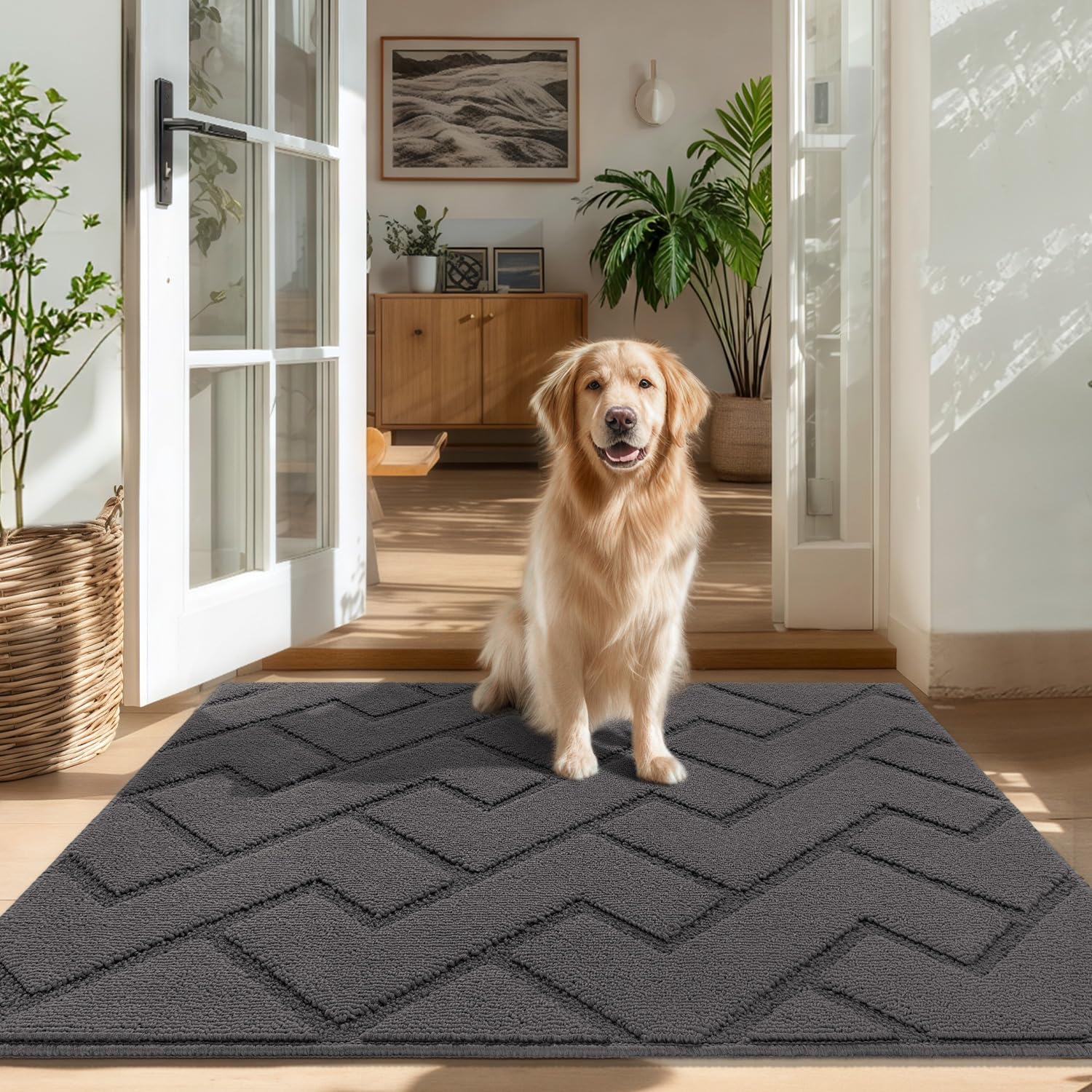 Biscpro Door Mats Indoor,Dirt Trapper Mat Absorbent Non-Slip Low Profile Doormat for Entrance,Inside, Kitchen,Front Door Mat Washable for Pets and Dogs— 50x80cm,Grey — view 52