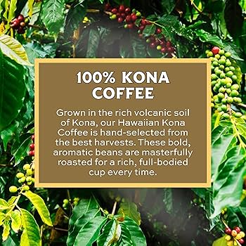 Lion Coffee 24K Gold Roast 100% Kona Ground Coffee, Medium
