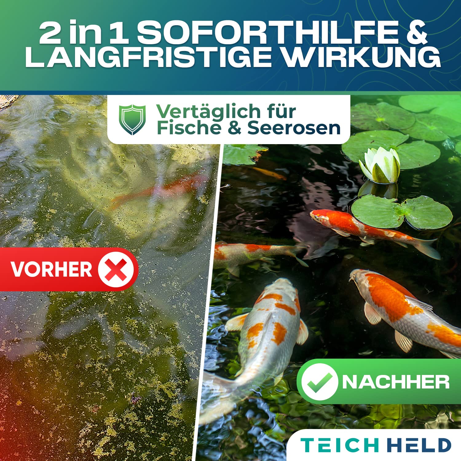 TeichHeld Fadenalgenvernichter teich [360° Schutz für Fische] 5kg Extra schnell & effektiv Dank 2in1 Wirkung mit LangzeitEffekt algenmittel algenvernichter algenentferner algen entferner algenstopp