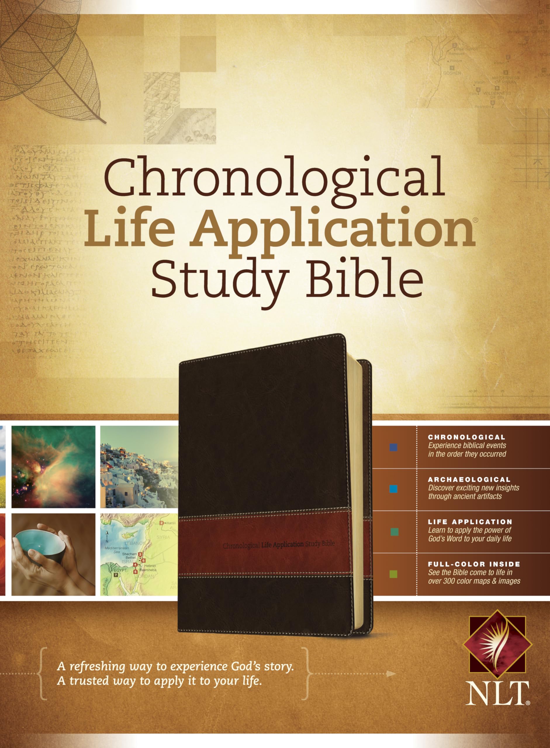 Chronological Life Application Study Bible: New Living Translation Brown / Tan TuTone LeatherLike