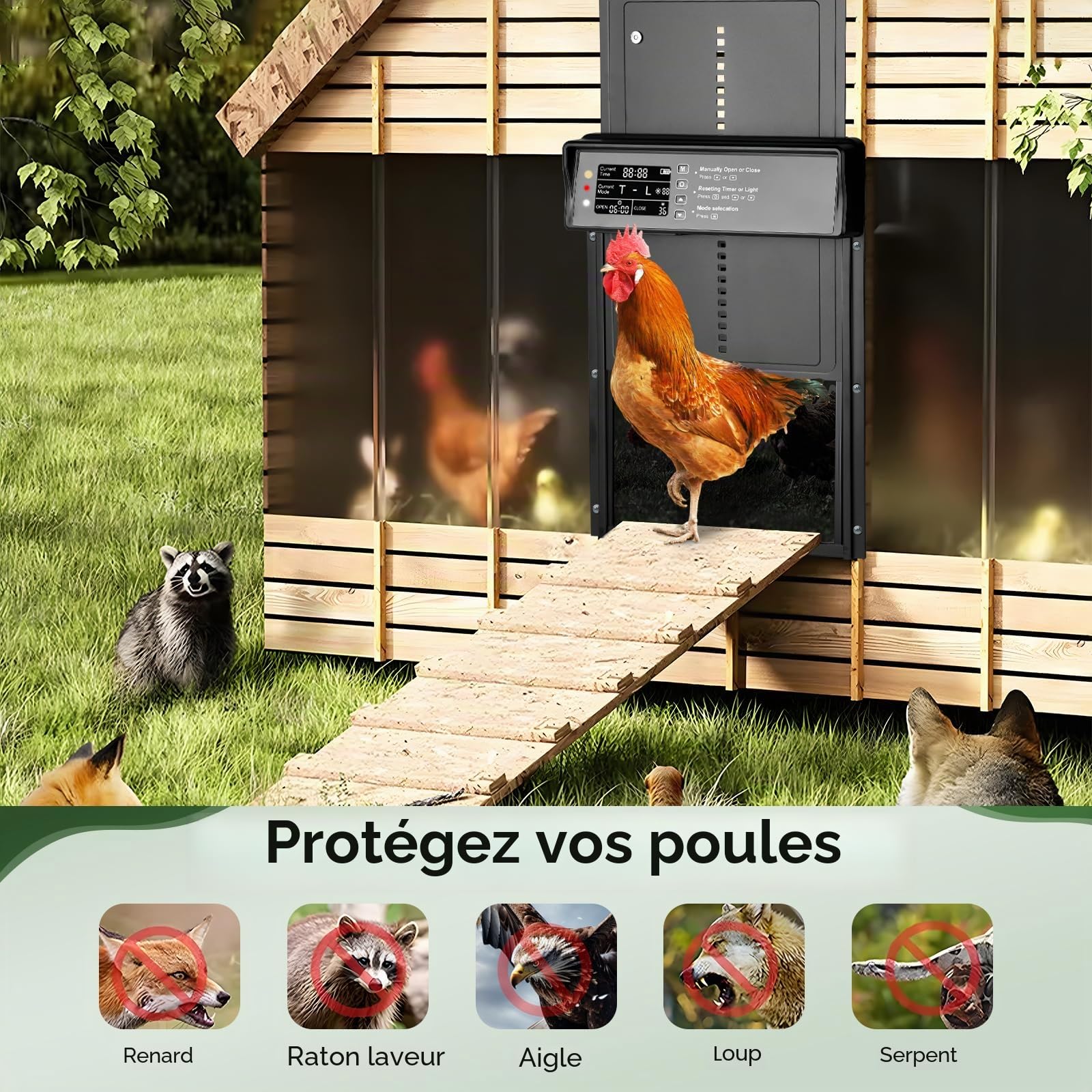 Towwoo Porte Automatique Poulailler Solaire, Aluminium Trappe Poulailler Automatique avec Écran LCD Programmable, Télécommande, Anti-Pincement Puerta Gallinero Automatica pour Ferme Noir