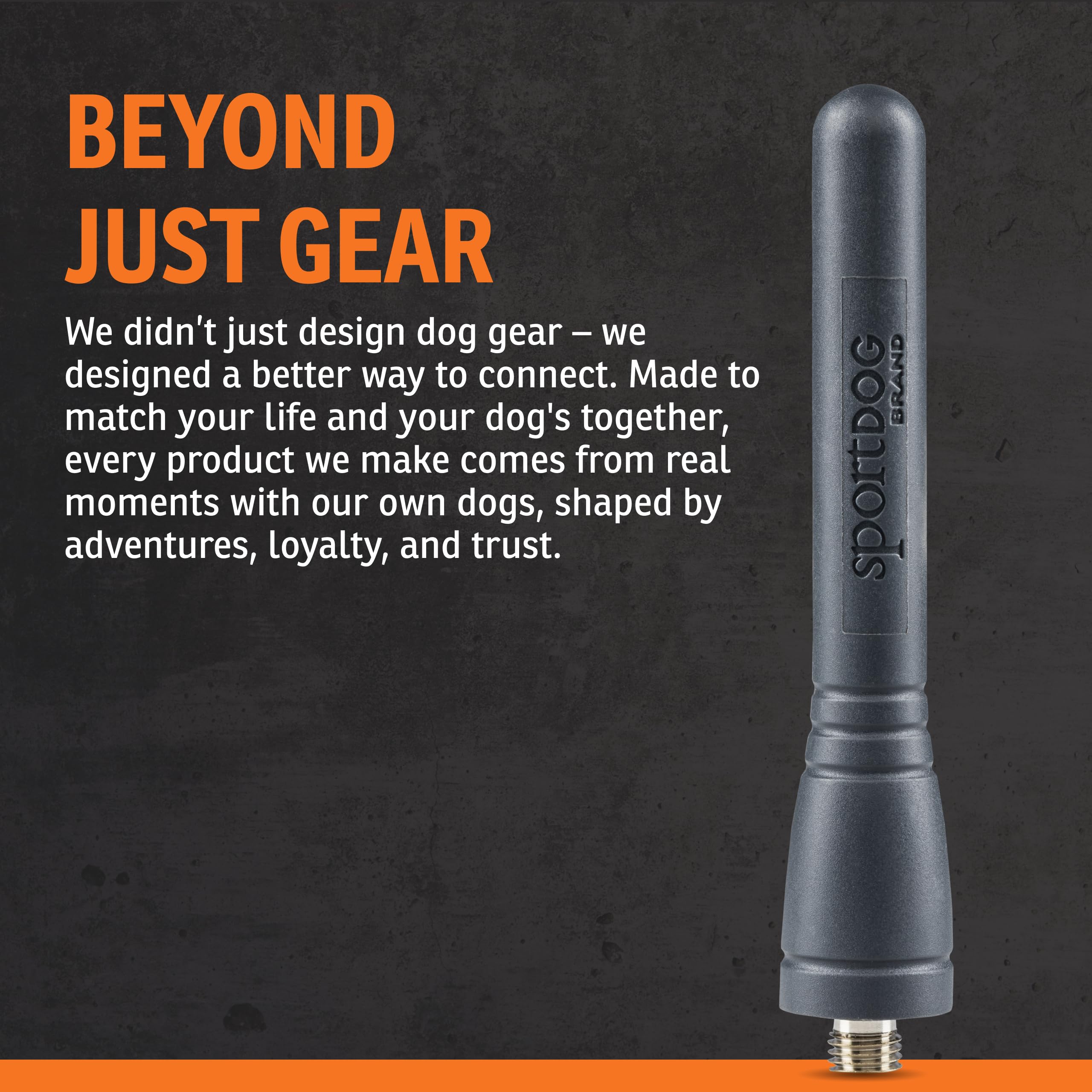 SportDOG Brand Ersatzantenne für E-Collar-Modelle – SD-800, SD-825, SD-1225, SD-1825, SD-1825CAMO und SD-3225
