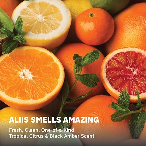 Miniatura 5 de ALIIS Champú seco – Polvo sin talco para absorción de aceite, actualización de raíces y volumen | Seguro para el color, a base de plantas, sin