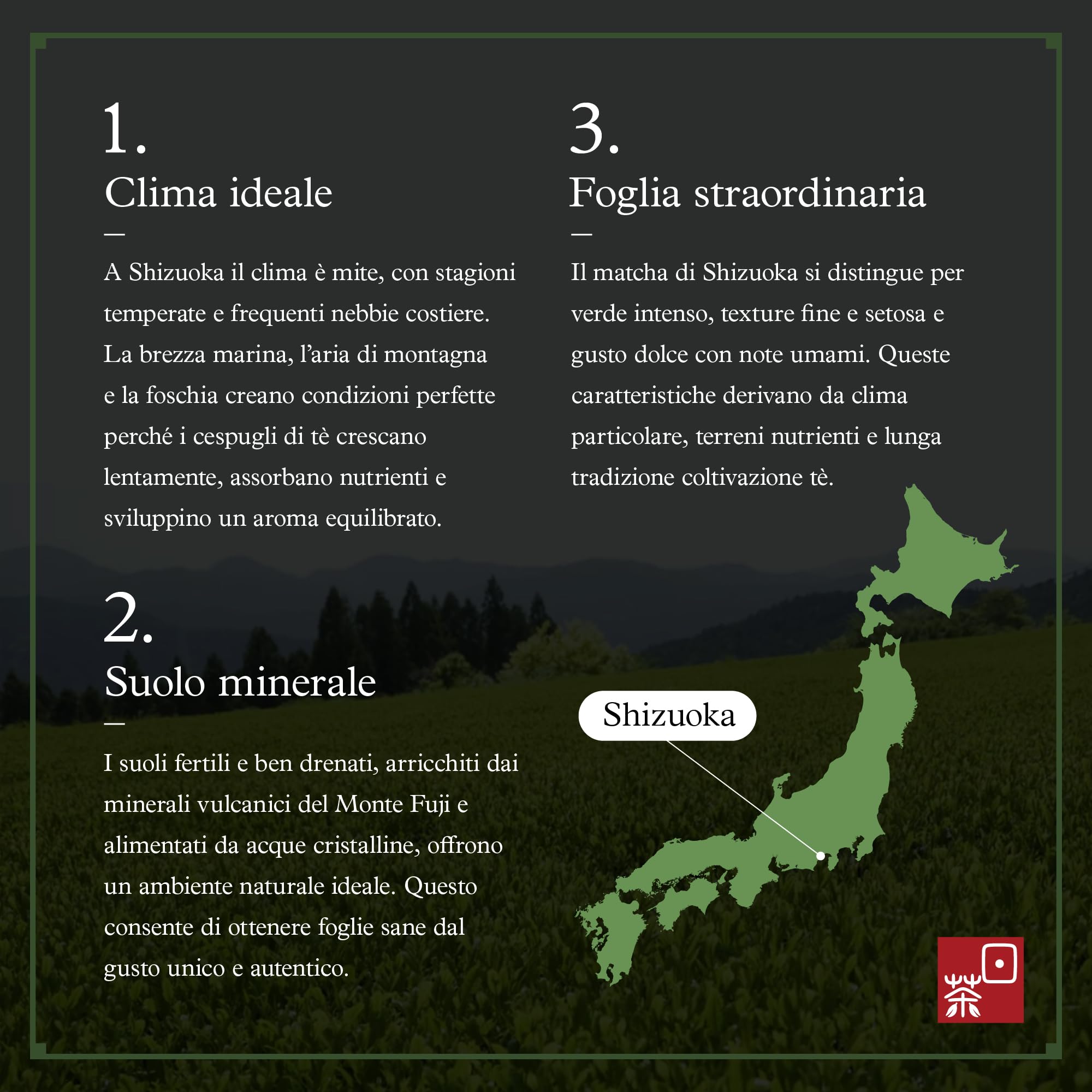 Ocha & Co. Itsumo Matcha - Grado Classico - Matcha Giapponese di Prima Raccolta in Polvere - Macinato Tradizionalmente a Pietra, 100g