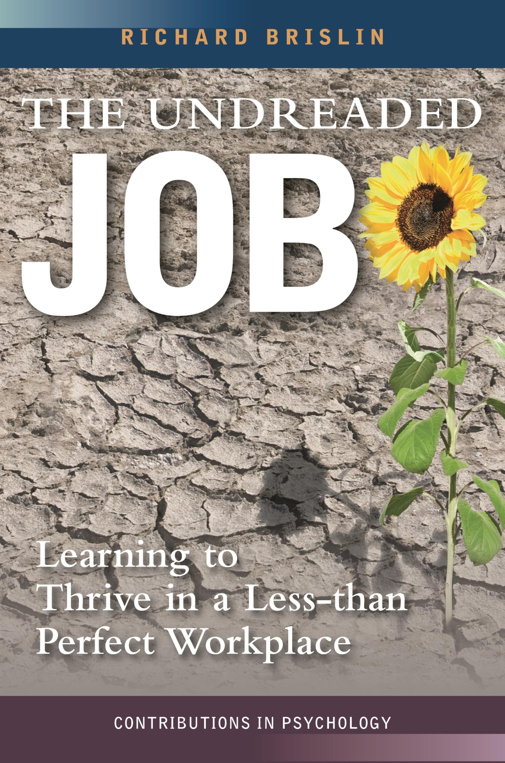 Buy The Undreaded Job: Learning to Thrive in a Less-than-Perfect Workplace (Intenational Contributions in Psychology) — BookShops.in