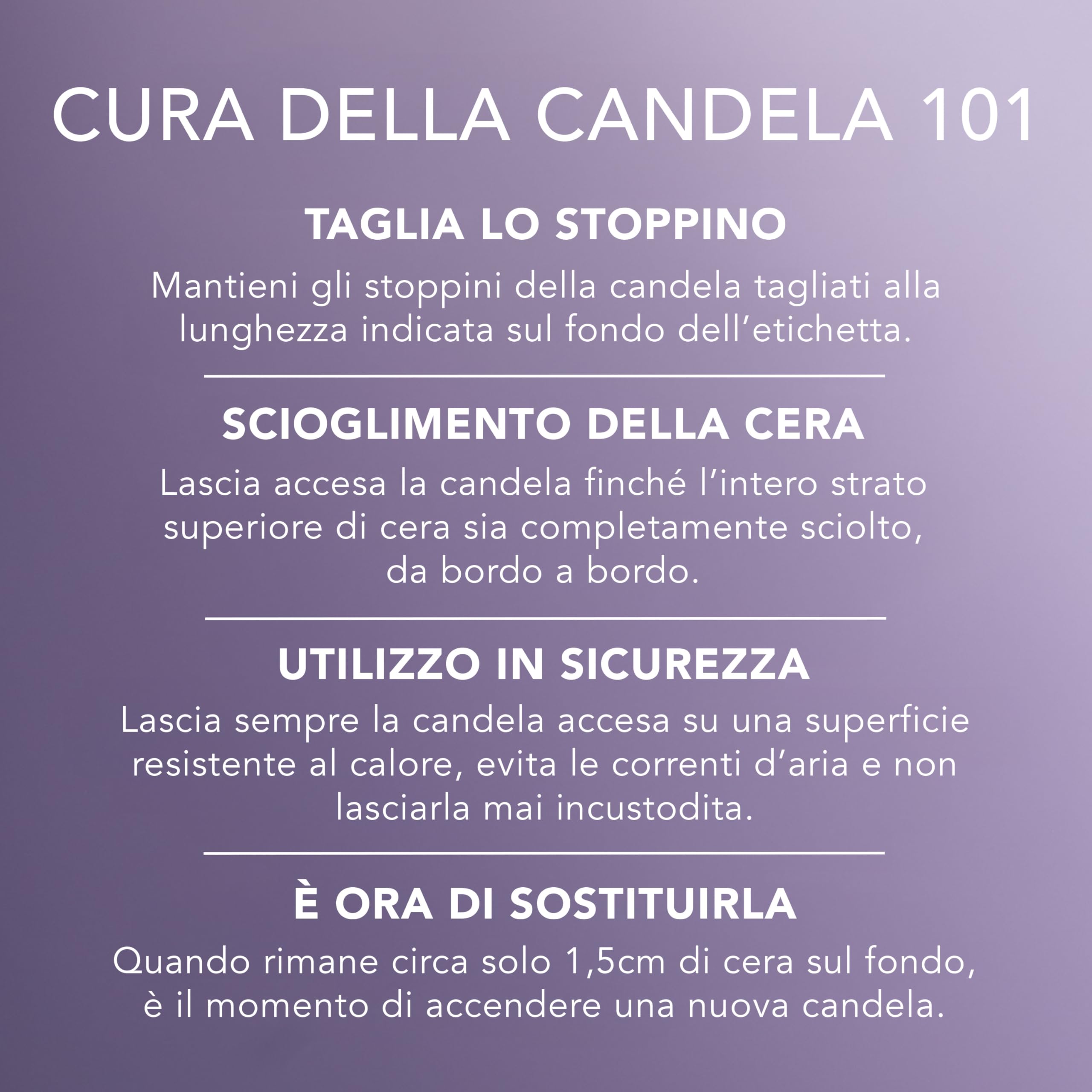 Yankee Candle Scented Candle | Candela in giara grande della Lavanda Essiccata e Quercia | Candele a lunga combustione: fino a 150 ore | Regali perfetti per le donne