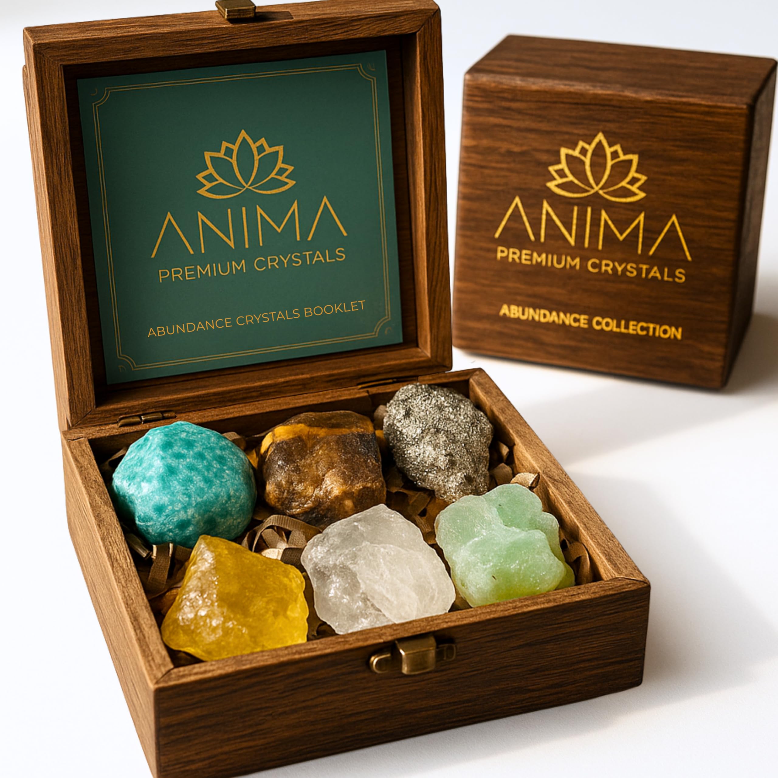 ANIMA Coffret en Pierres Précieuses d’Abondance pour Prospérité, Chance & Succès – Cristaux Naturels Bruts: Citrine, Pyrite, Œil de Tigre, Aventurine, Amazonite & Quartz Clair – Boîte Cadeau en Bois