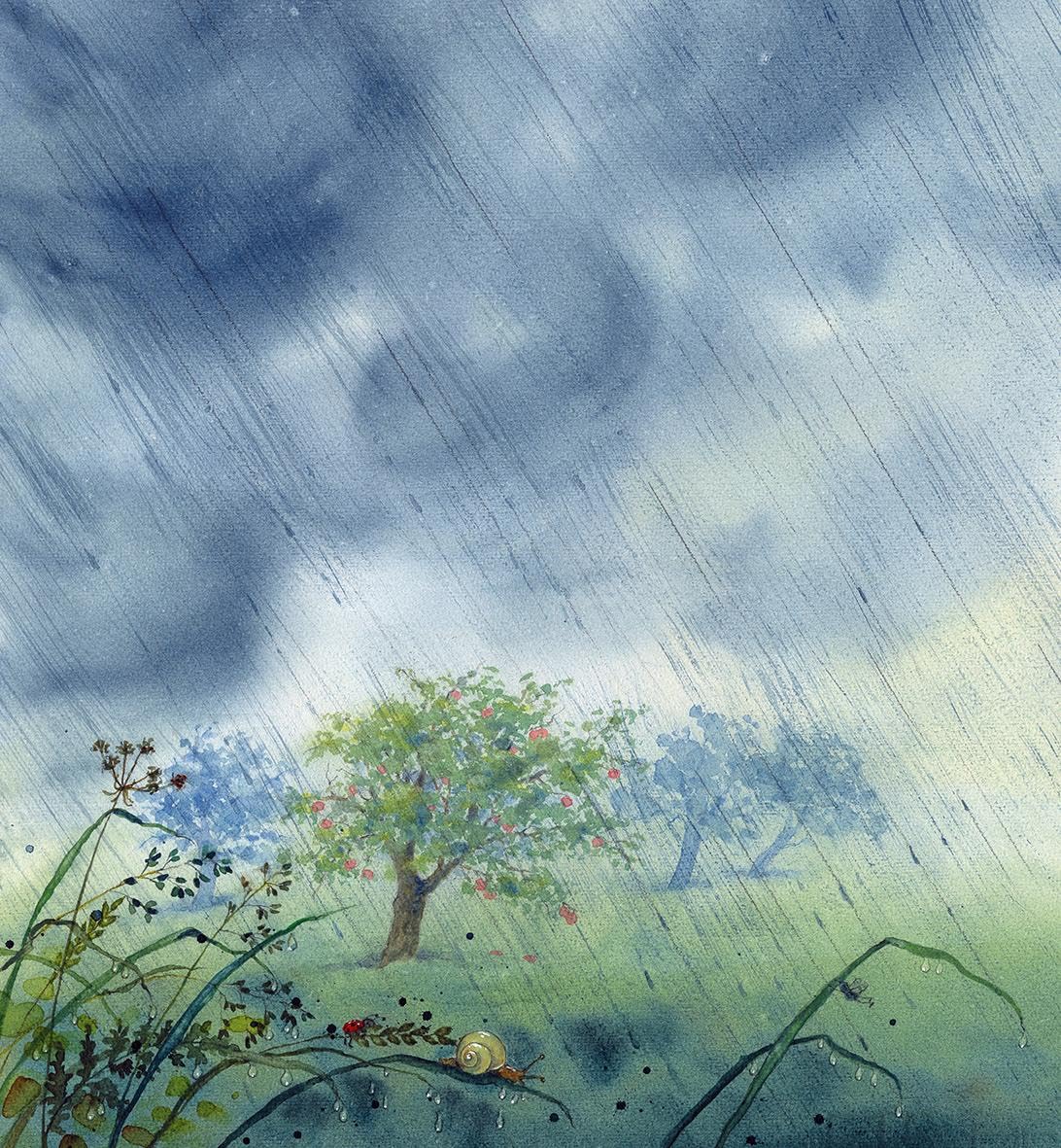 Bertie Pom und das große Donnerwetter: Bilderbuch