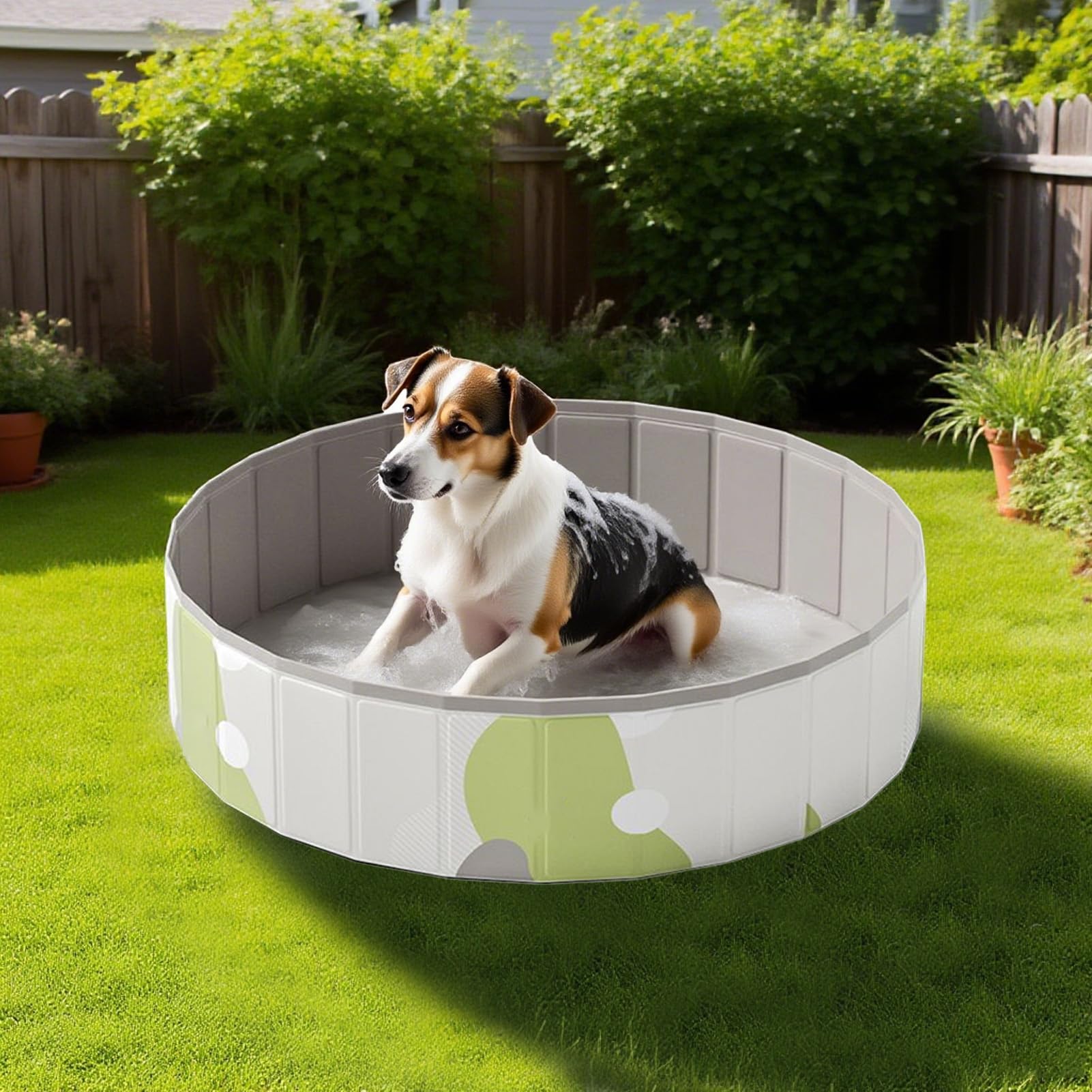 Piscine Pliable Animaux étanche rétractable Portable Installation Rangement