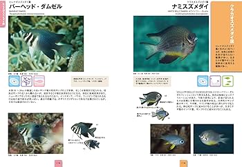 Amazon.co.jp: スズメダイ (ネイチャーウォッチングガイドブック