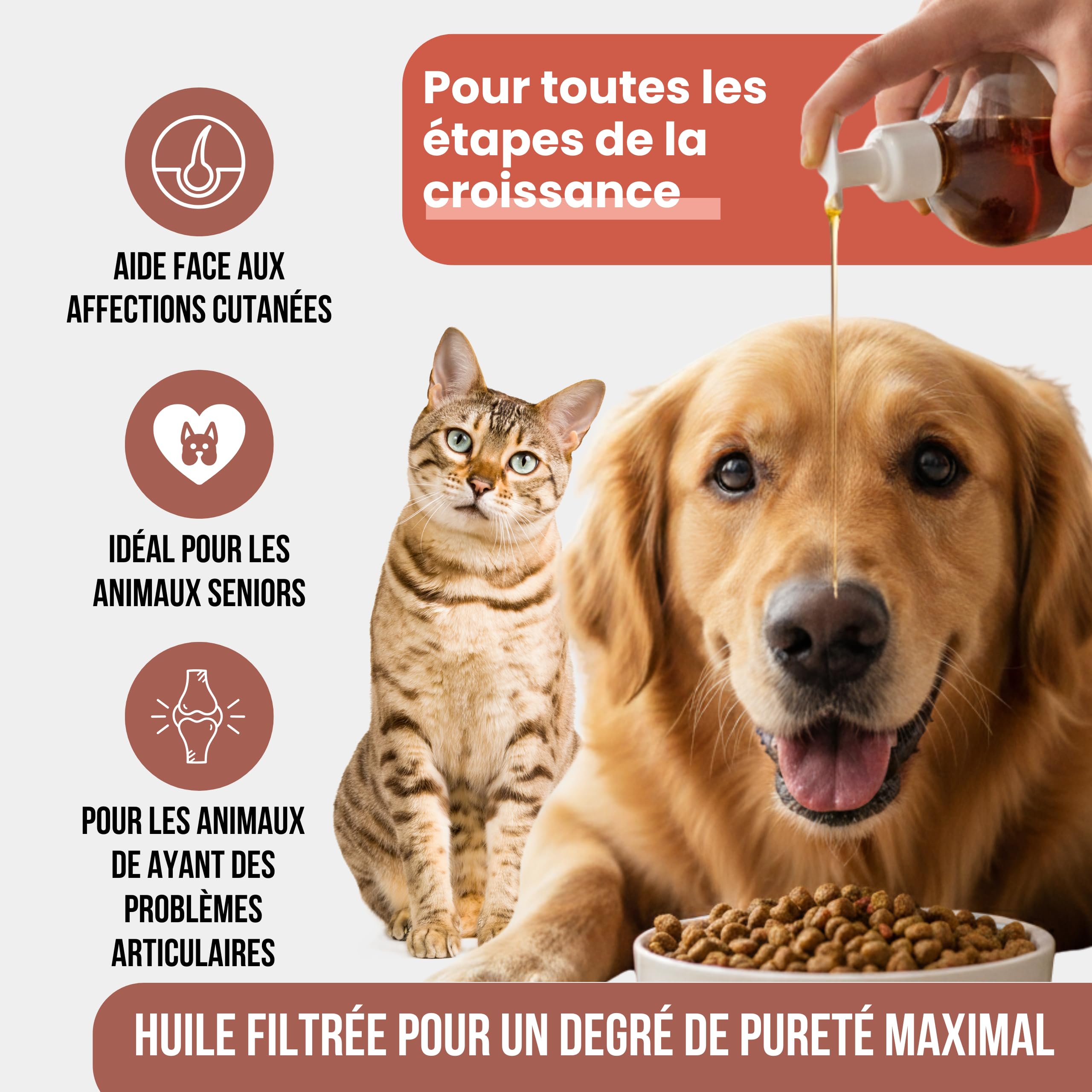 Huile de Saumon : Chiens et Chats 5 L – Source d'Oméga 3 et 6 – EPA et DHA – Complément Alimentaire Haut de Gamme à Base d'Acides Gras et de Vitamine E – Origine : Écosse