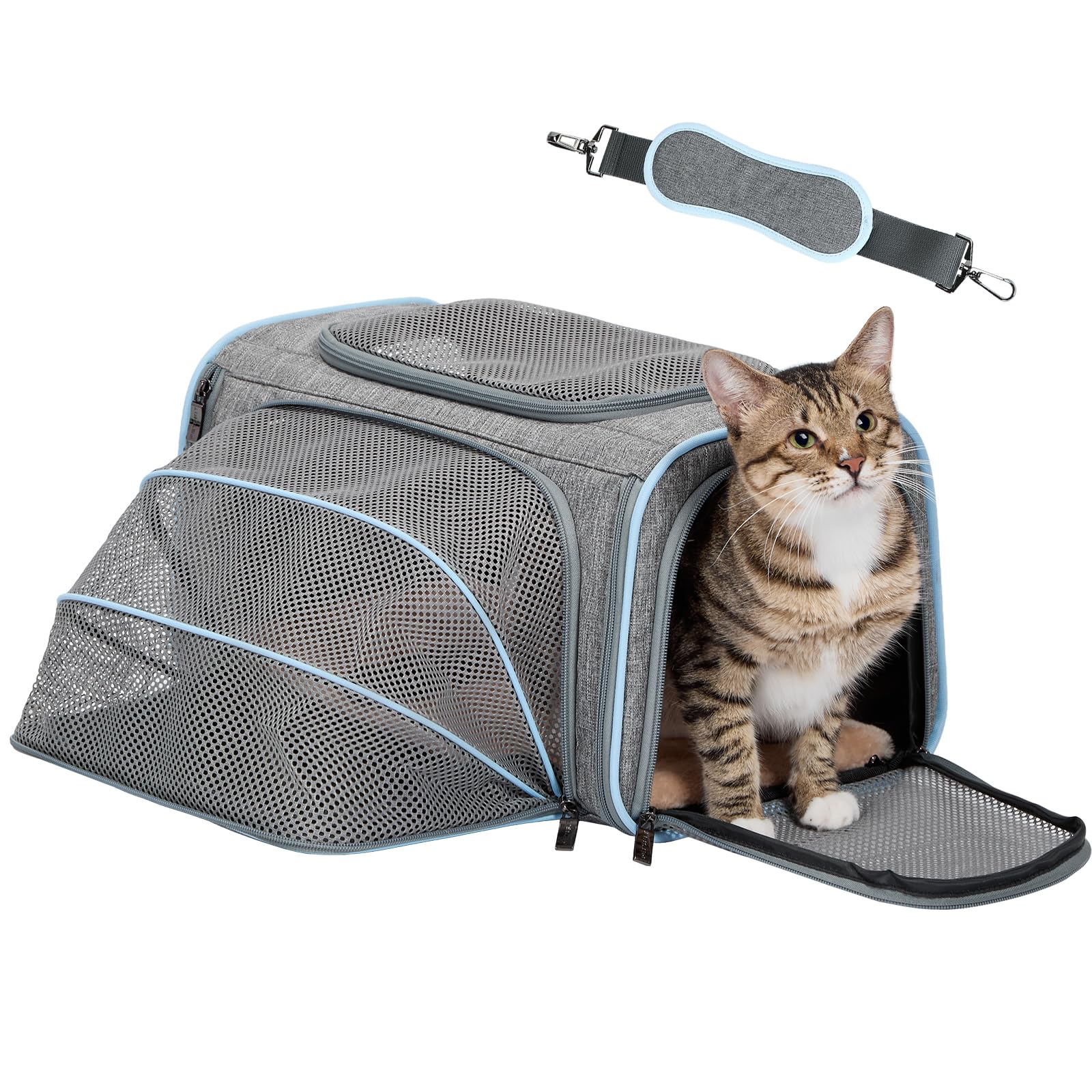 Petsfit Small Cat Carrier Soft Airline Approved Expandable Carrier for Kitten Puppy Bunny, 16"X10"X9“