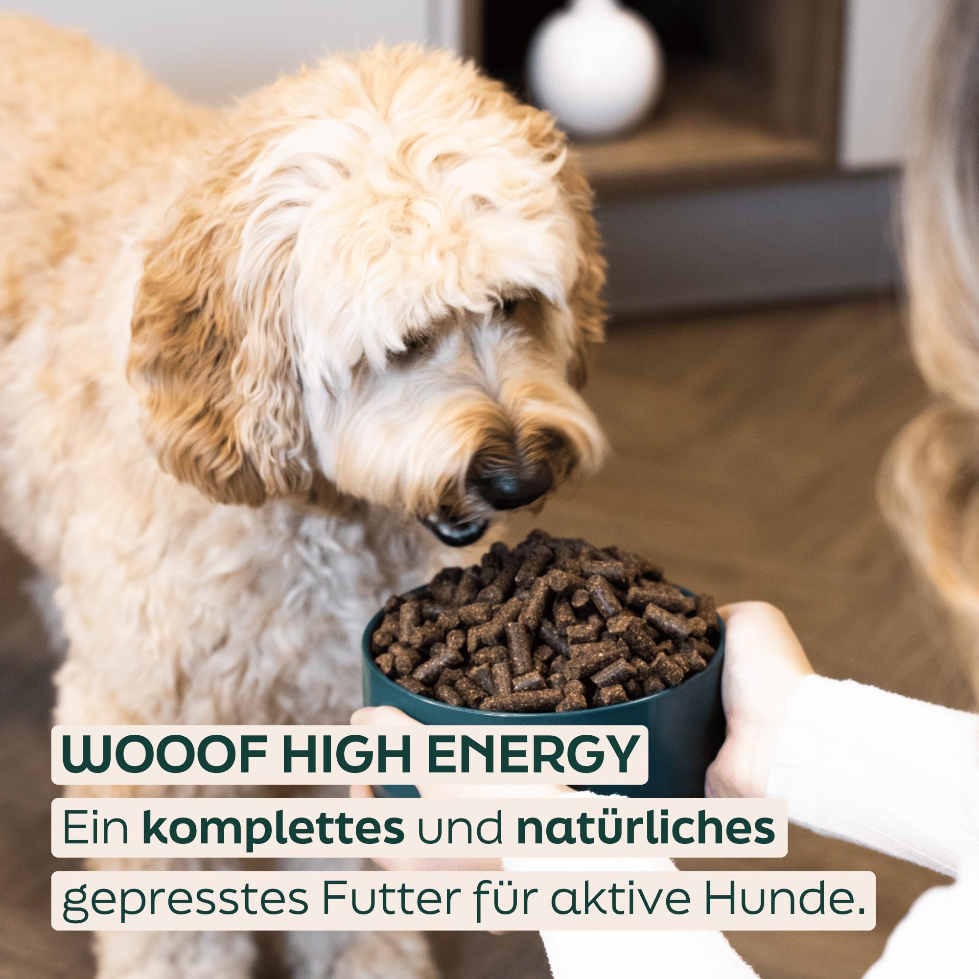 High Energy 36kg kaltgepresstes Hundefutter | Energiereiches Trockenfutter mit Rindfleisch, hoher Energieanteil, Sporthunde